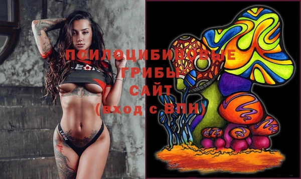 PSILOCYBIN Пересвет