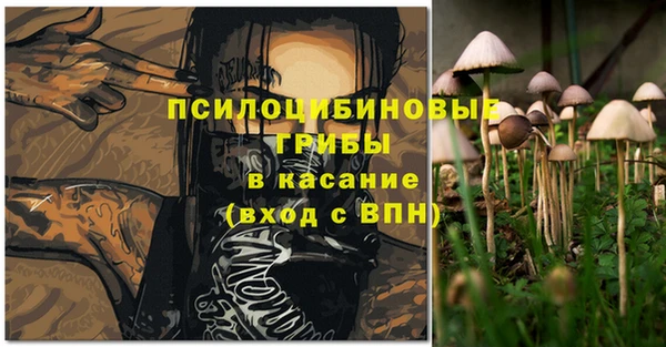 PSILOCYBIN Пересвет